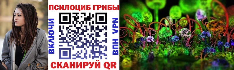 Купить  Северобайкальск  Псилоцибиновые грибы Cubensis 